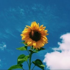 Meet your Posher, Maggie